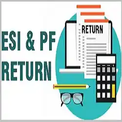 Return and Filing in India